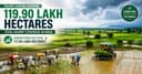 Kharif Sowing Sees Positive Growth: Coverage Reaches 119.90 Lakh Hectares Across India