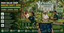 High-Value Crop Revolution 2026: How Cocoa Intercropping and Agroforestry Are Transforming Farm Income